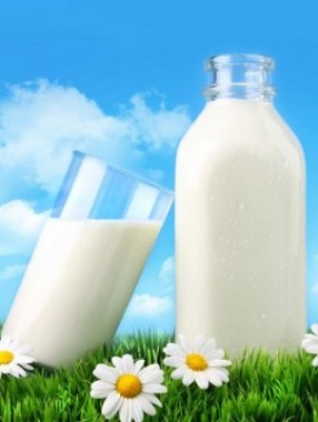 Купить молочные продукты