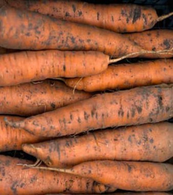 Морковь немытая 10кг